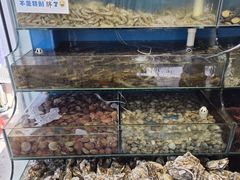 -仙螺岛海鲜自助餐厅(总店)