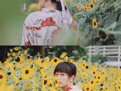 -二沙岛艺术公园