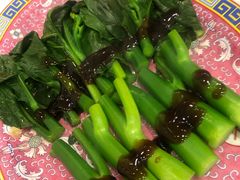 -大中鱼翅 Taitong Shark Fin