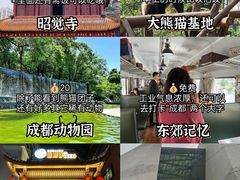 -成都大熊猫繁育研究基地
