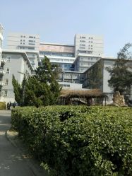 -首都医科大学附属北京儿童医院