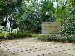 -张坝桂圆林公园
