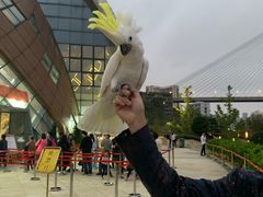 -重庆国际马戏城