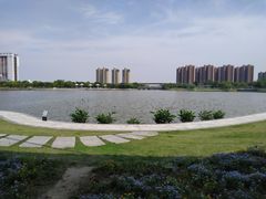-映月湖中央公园