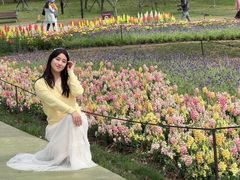 -苏州上方山国家森林公园