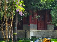 -北京国子监胡同