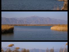 -野鸭湖国家湿地公园