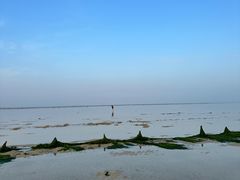 -北海金海湾红树林生态旅游区