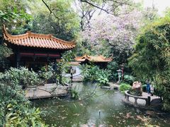 -广州兰圃