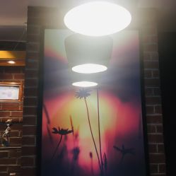 -时尚殿堂·颜SPA