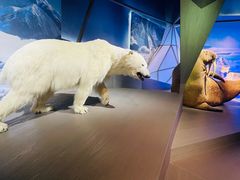 -贝林大翅鲸简餐厅(国家海洋博物馆店)