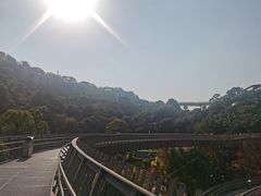-福道