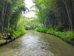 -同里国家湿地公园