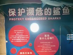 -南京海底世界