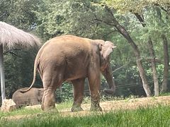 -北京野生动物园