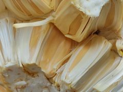 -蜜雪冰城(托乐嘉店)