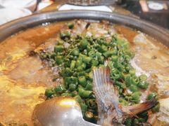 -探鱼·鲜青椒爽麻烤鱼(沈阳万象城店)