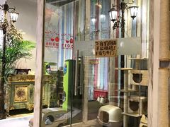 -小时光咖啡馆(开森度假森林店)