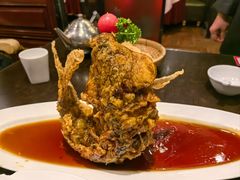 -老牌坊鲁菜名店(聊城美食岛店)