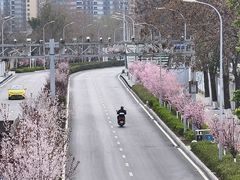 -西南政法大学(渝北校区)