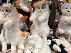 -番茄口袋(上海普陀区环球港店)