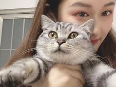 -谐和益家动物医院·免疫绝育·血液透析·宠保定点医院(高新伊藤分院)