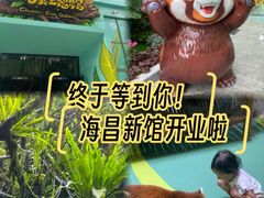 -海合安成都极地海洋公园