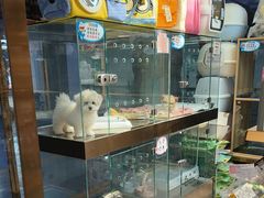 -FAELING PETS美天灵宠物(富力广场店)