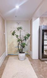 -东方美美容SPA会所