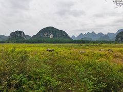 -Club Med地中海俱乐部·桂林度假村