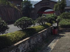-千岛湖石林
