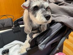 -京津佛罗伦萨小镇