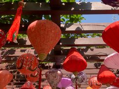 -深圳国际园林花卉博览园