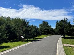 -东郊湿地公园