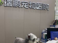 -瑞鹏宠物医院华南总院·夜诊·心脏科·骨科