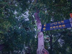 -伦教678文化街