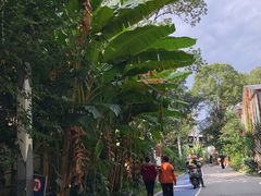 -三圣花乡旅游区