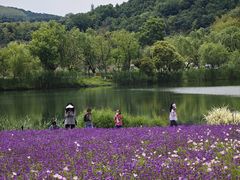 -南北湖风景区