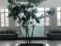 -苏州图书馆(人民路总馆)