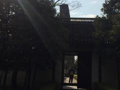 -上海佘山国家森林公园天马山园