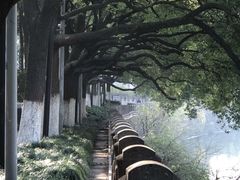 -运河游船(武林门码头)