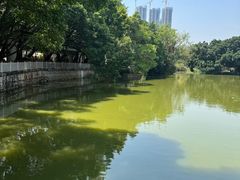 -人民公园(罗湖区)