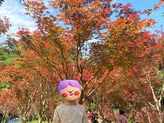 -广州市帽峰山景区