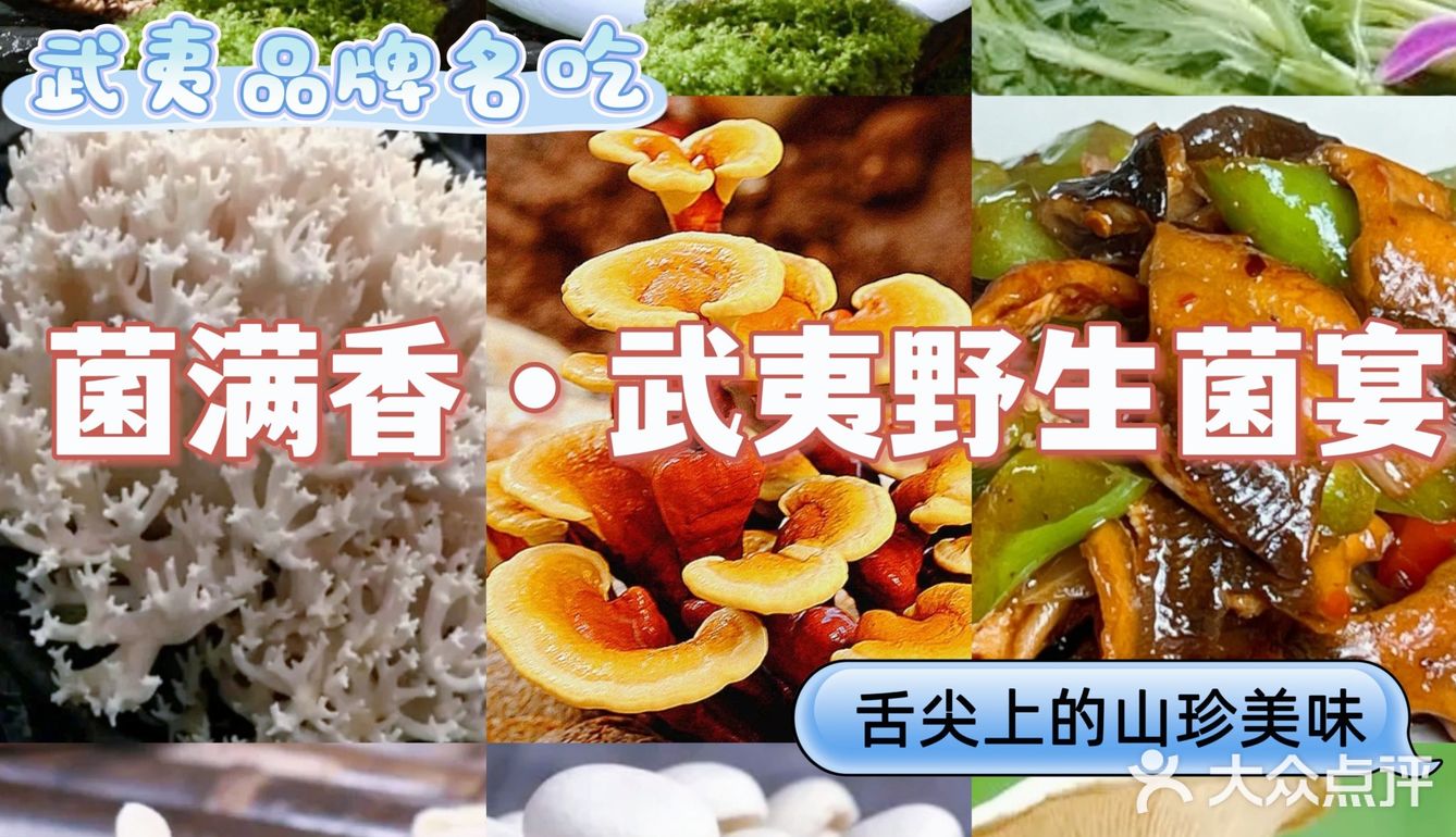 武夷山必打卡菌满香·野生菌宴，菌汤锅真心惊艳