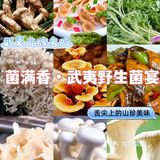 武夷山必打卡菌满香·野生菌宴，菌汤锅真心惊艳
