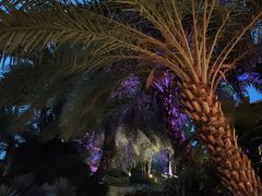 -碧桂园润杨溪谷温泉酒店