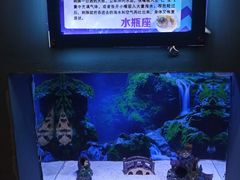 -芜湖新华联大白鲸海洋公园