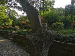 -绮园景区