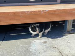 -窦店服务区-停车场