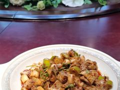 -胖大姐黄辣丁鱼庄(新津店)
